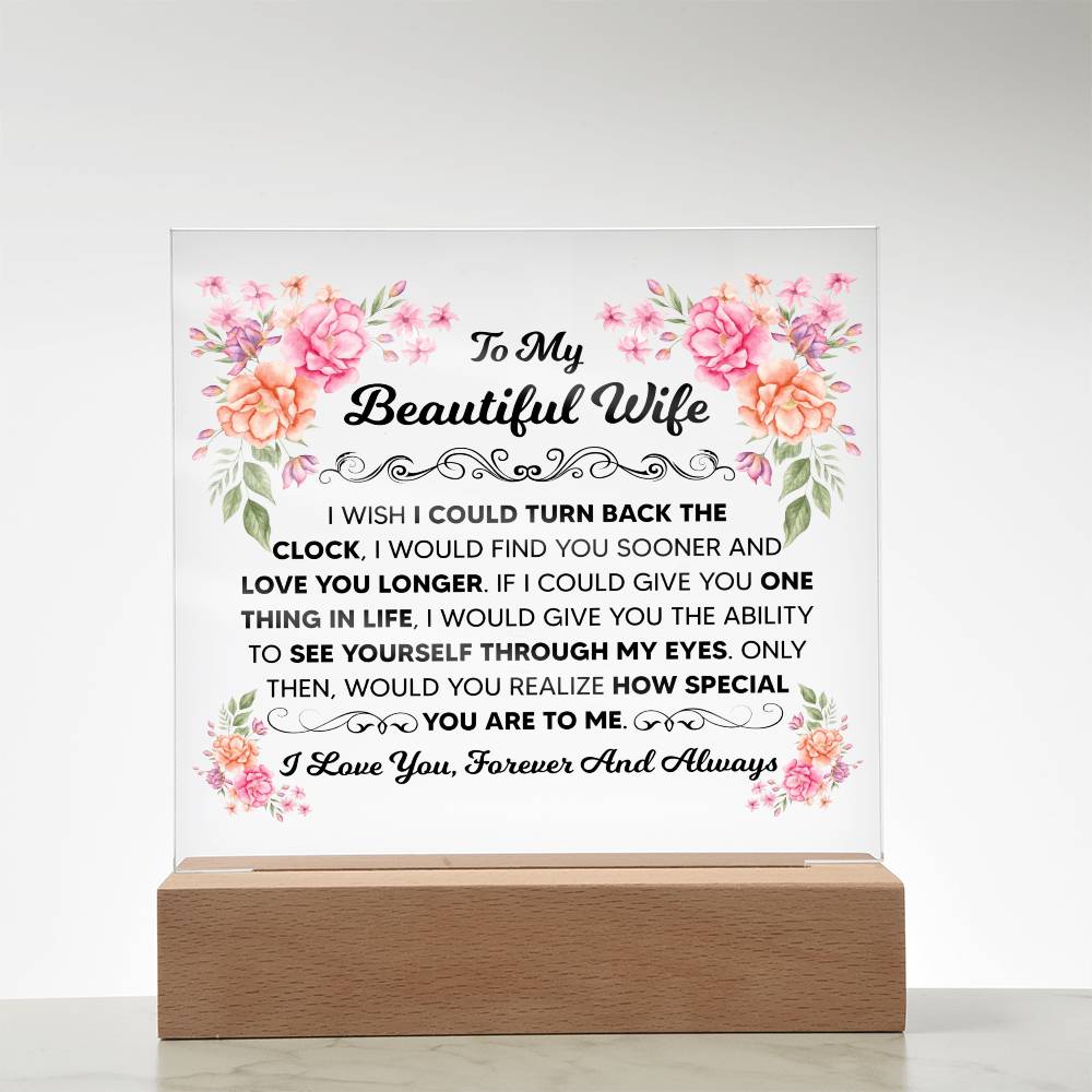 Beautiful Wife plaque glowing beside its corded LED controller.